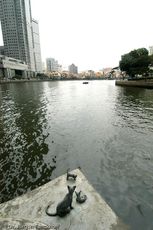 Singapur (112 von 118).jpg